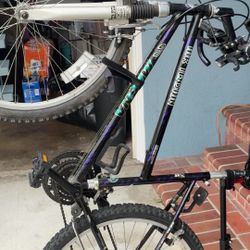 Mountain Bike & stand 