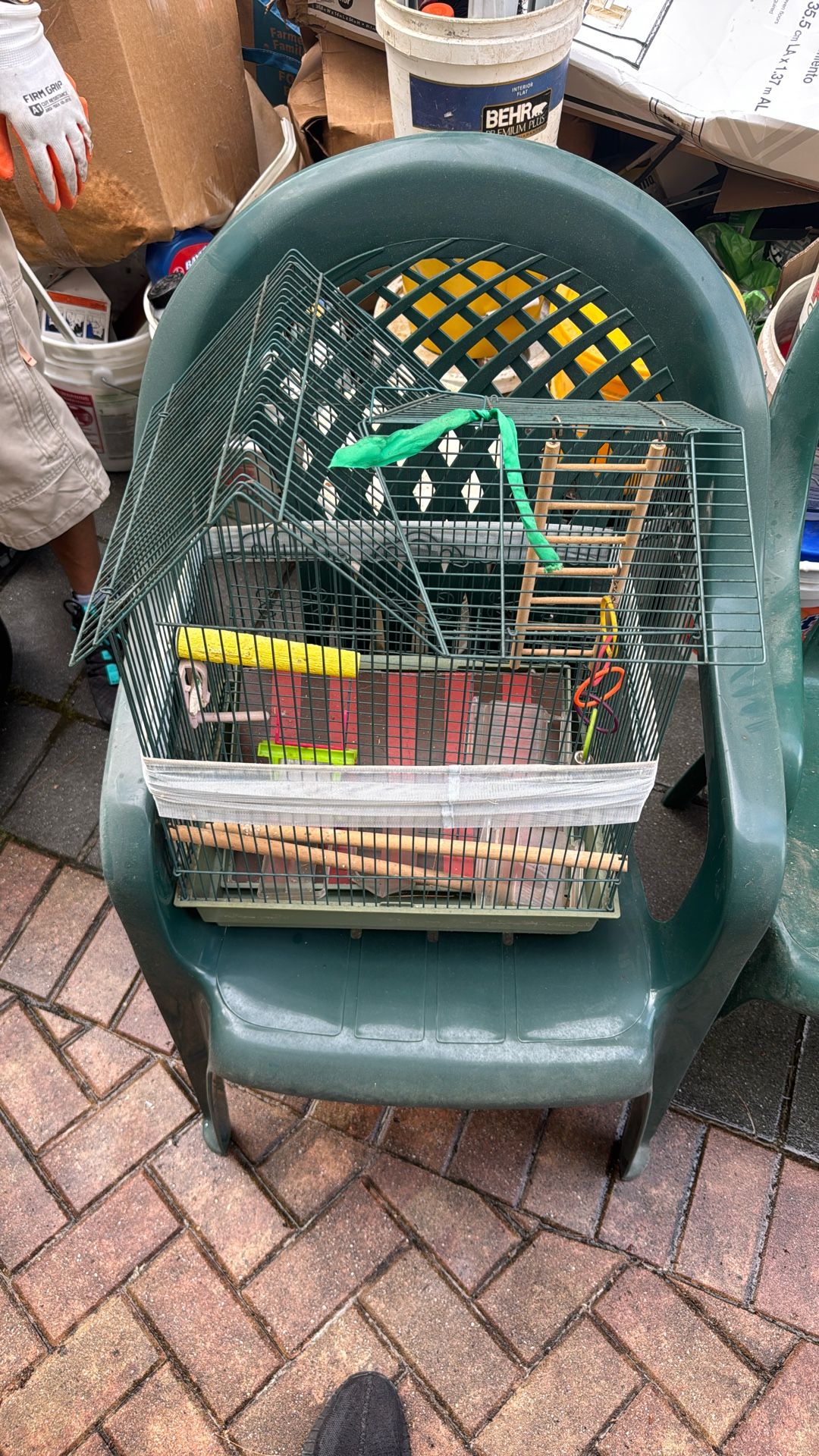 Bird Parrot Cage
