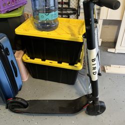 Bird Electric Scooter Not Working Properly