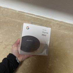 Google Home $10