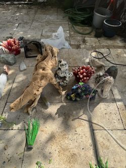 Aquarium Decor Lot - Driftwood, Coral, Ornaments & Rocks