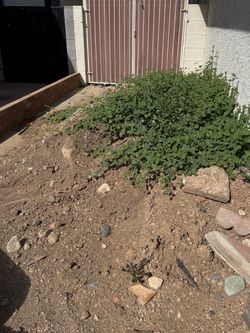 Dirt pile