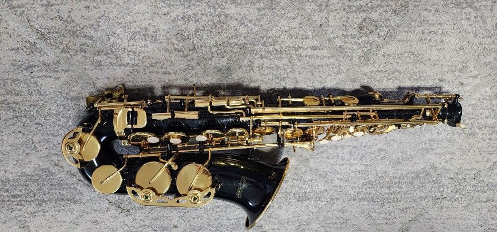 Alto Saxophone 