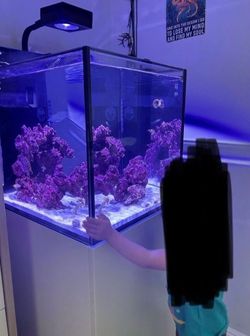 Redsea peninsula nano 26 gal