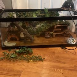 Reptile/fish Tank 20 Gallon Long 