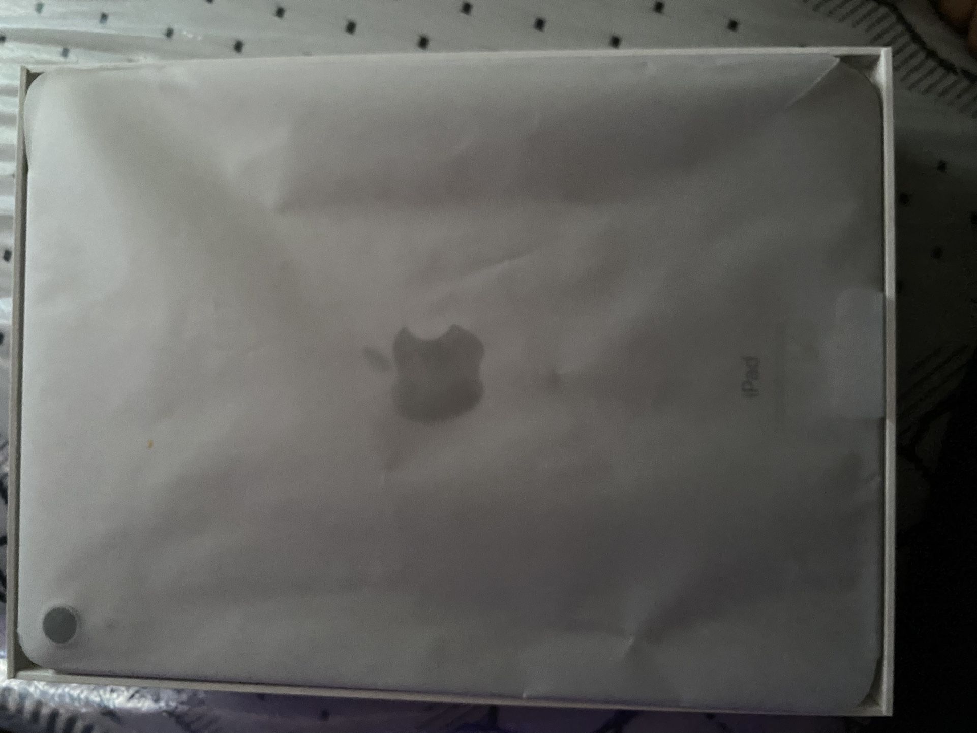 iPad