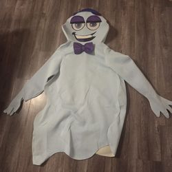 Boo Berry Ghost Adult Costume 