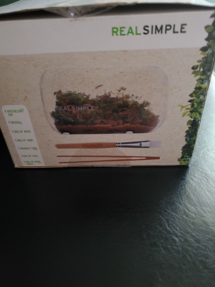 TERRARIUM KIT - NEW