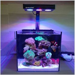 CORAL CHAT AQUAKNIGHT LED