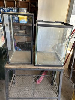 2 - Ten Gallon Tanks With Stand