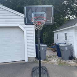 Lifetime Basketball Hoop!