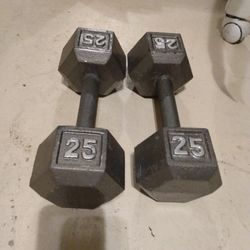 weights 25 lbs gym dumbbells 