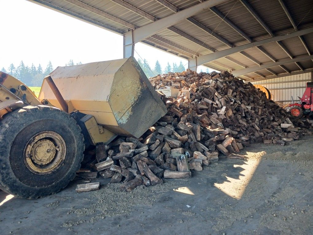 1 Year Seasoned Maple Firewood 