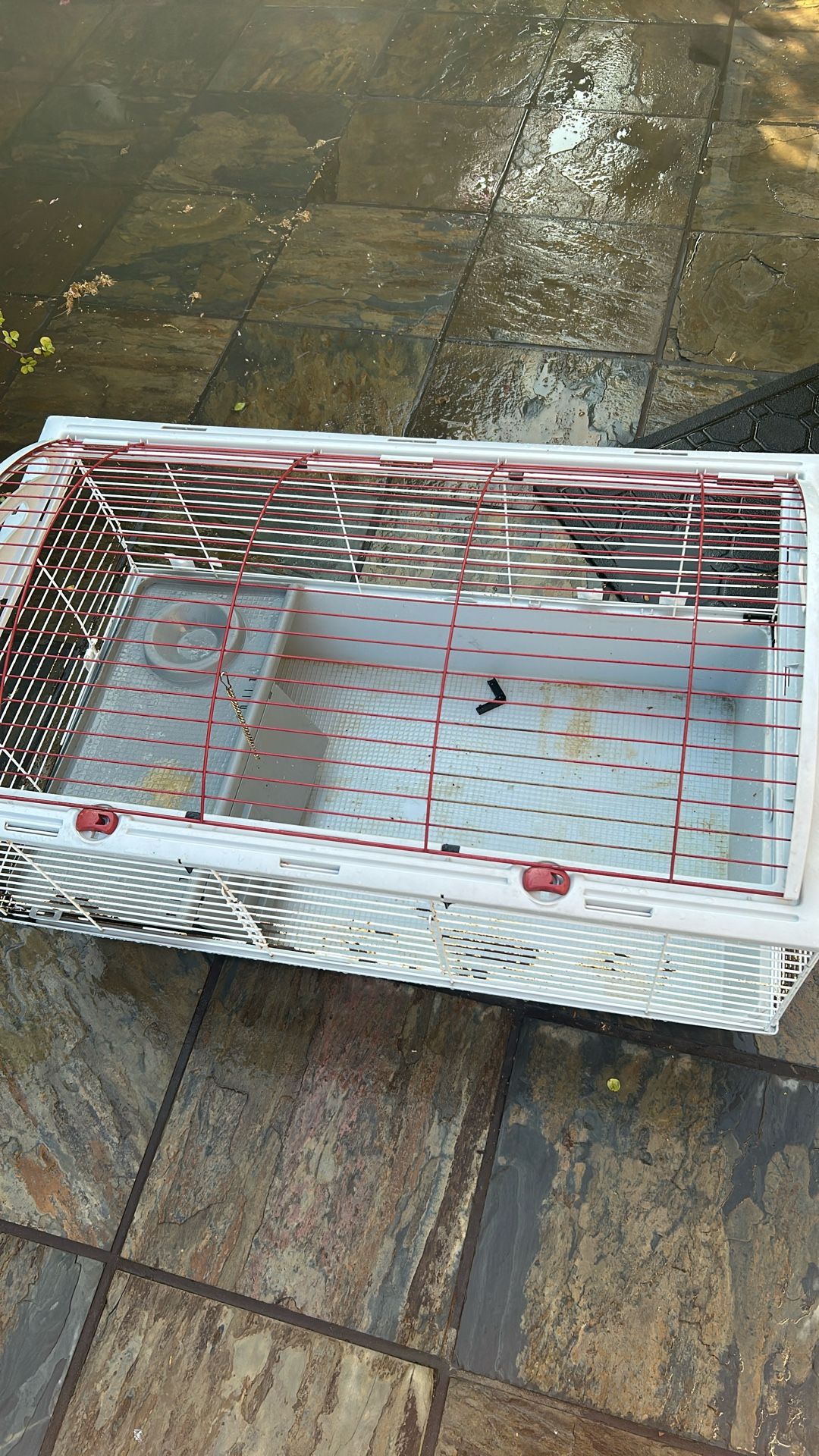 Cage
