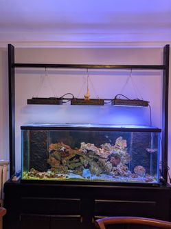 Fish tank