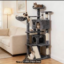Cat Scratcher