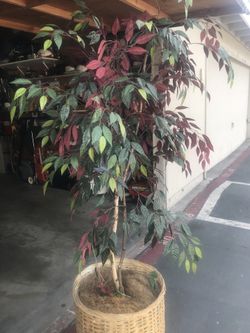 5” green and red leaf artificial plant