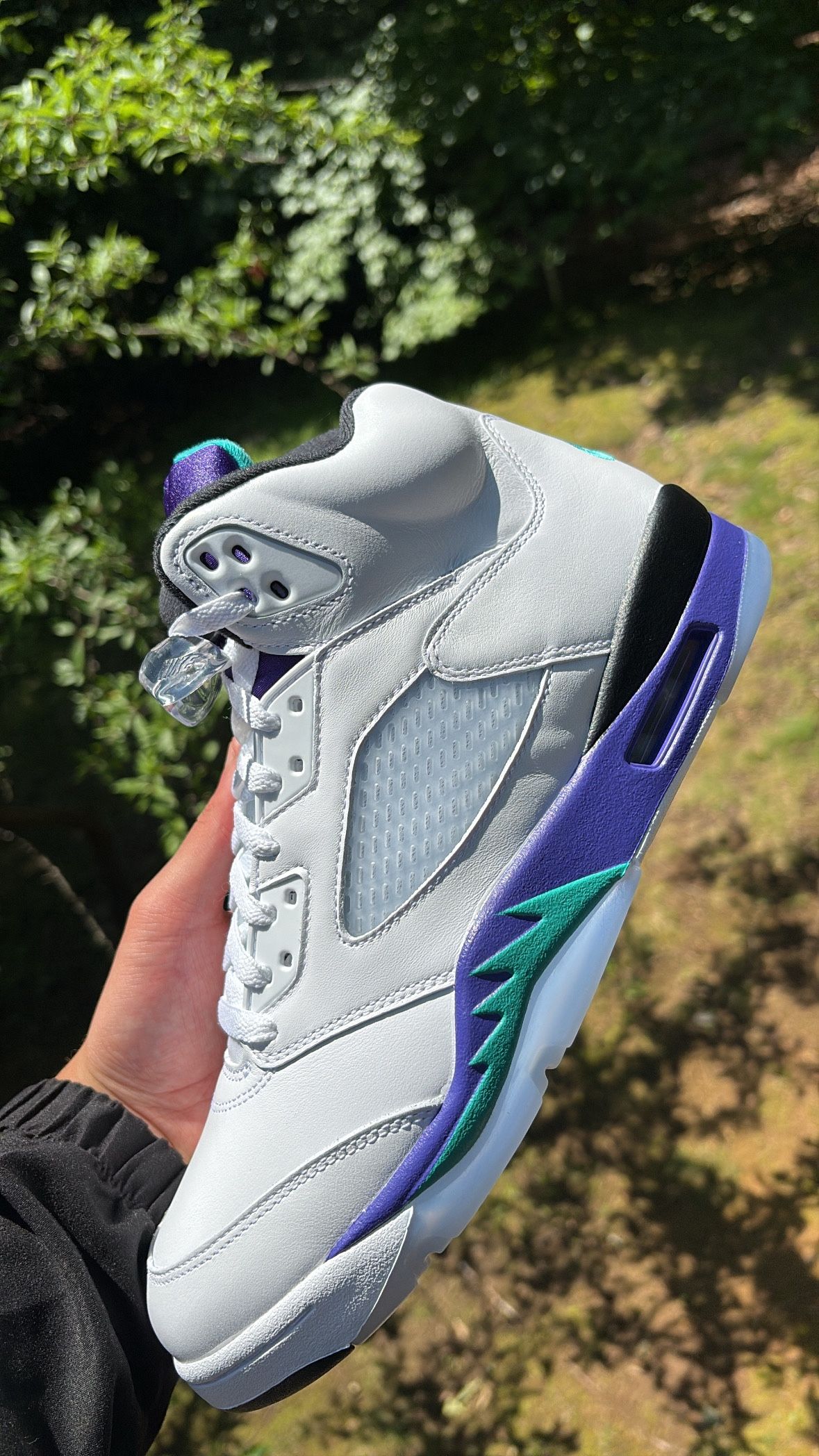 Jordan 5 Grape Sz 11, 13