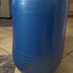 Large Oblong Exercise Ball
