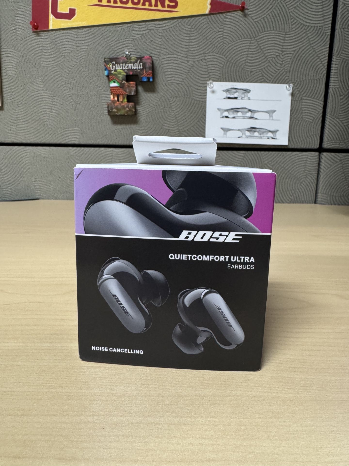 Bose Quietcomfort Ultra Earbuds
