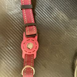 Dog Or Cat Collar 