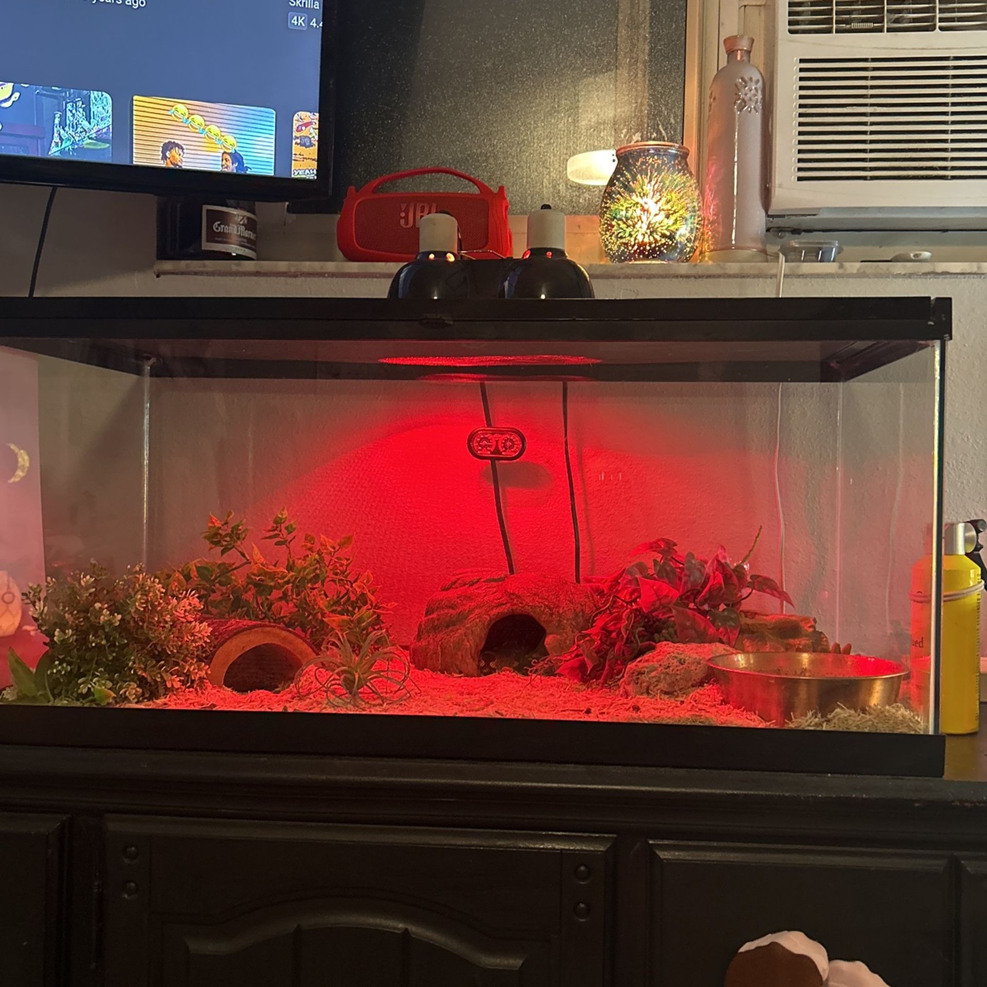 Snake Tank 
