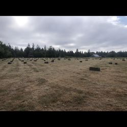 Local Grass Hay