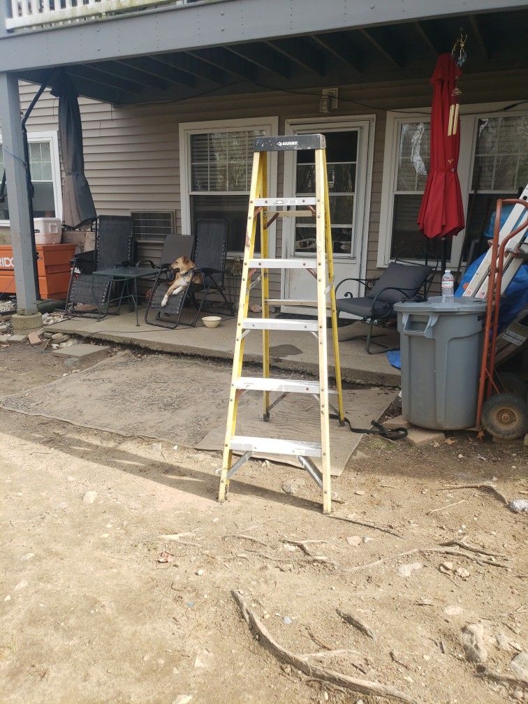 6ft Husky Ladder
