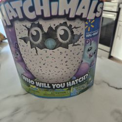 2016 "Error Box" Hatchimal