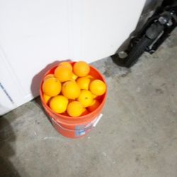 Sweet Oranges 8 Dollars Bucket