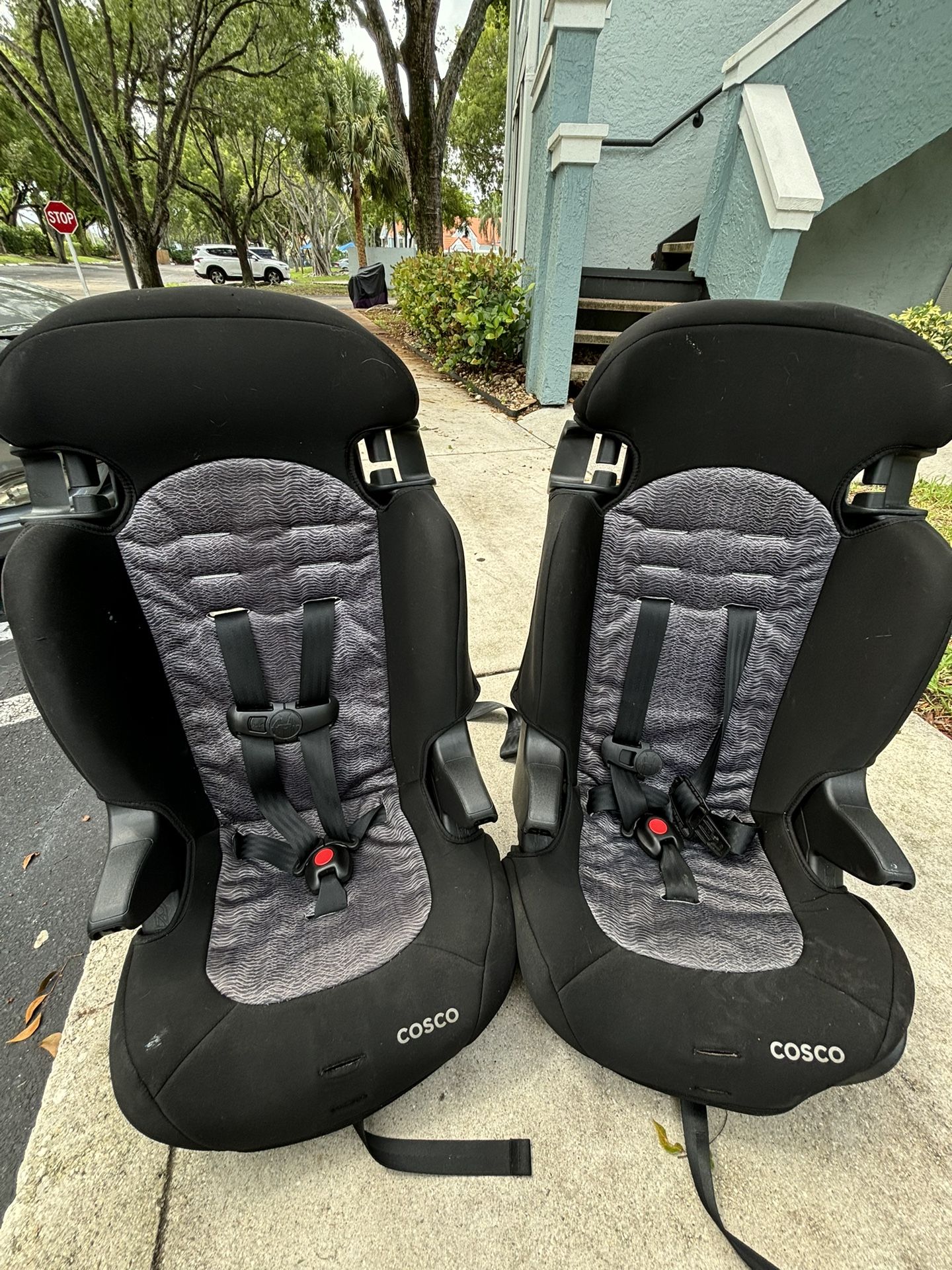Cosco Car Seats