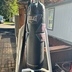 Punching Bag 