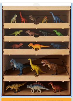 Small display case