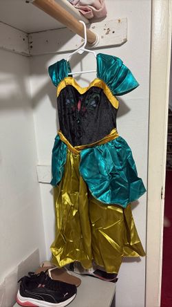 Frozen Costume