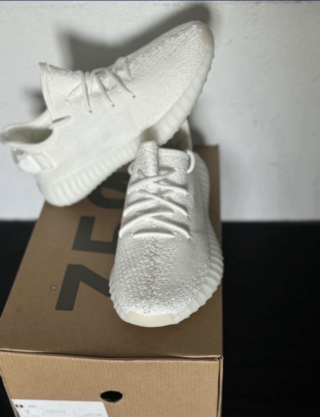 Adidas 350