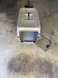 USED INTERMEDIATE ANIMAL CARRIER  24 1/2 X 16 1/2 