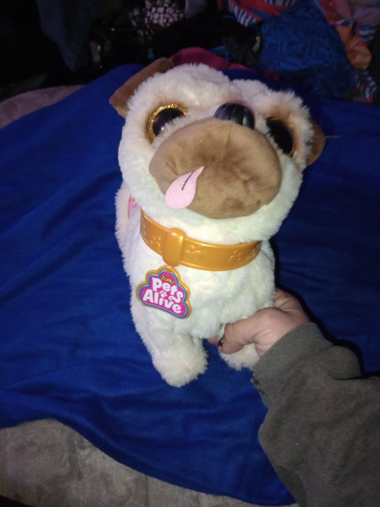 Pets Alive Dog