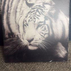 Wildlife Wall Decor 