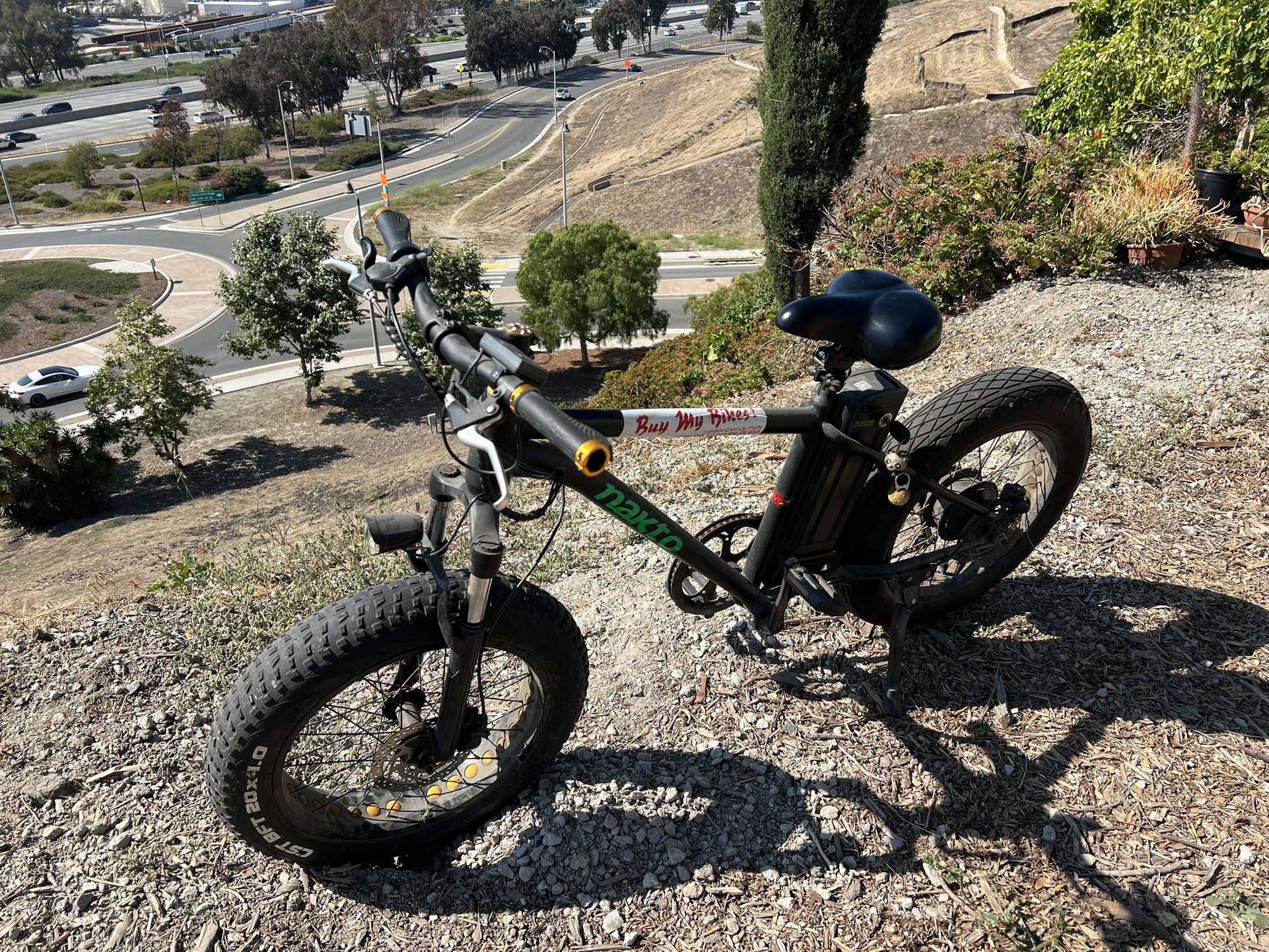 Electric Bike