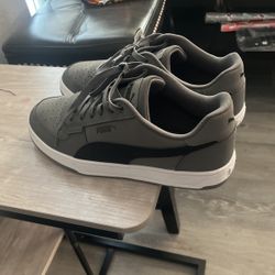 Pumas