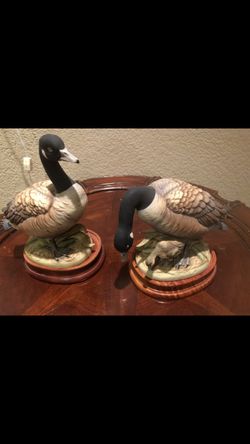 Canada Goose Set By Andrea