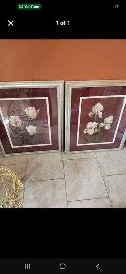 Beautiful Pictures