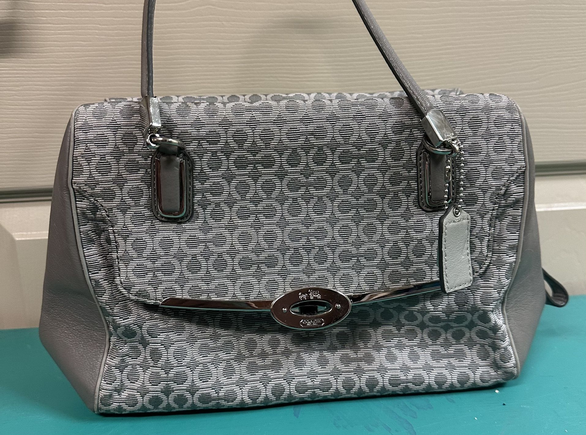 COACH Grey Purse