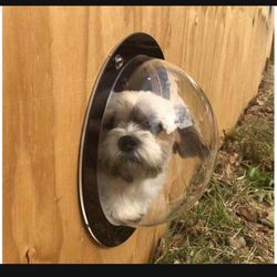Pet Window 
