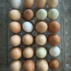 Fresh Eggs $7 A Dozen