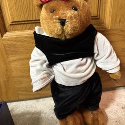 Bear With Clothes And Case