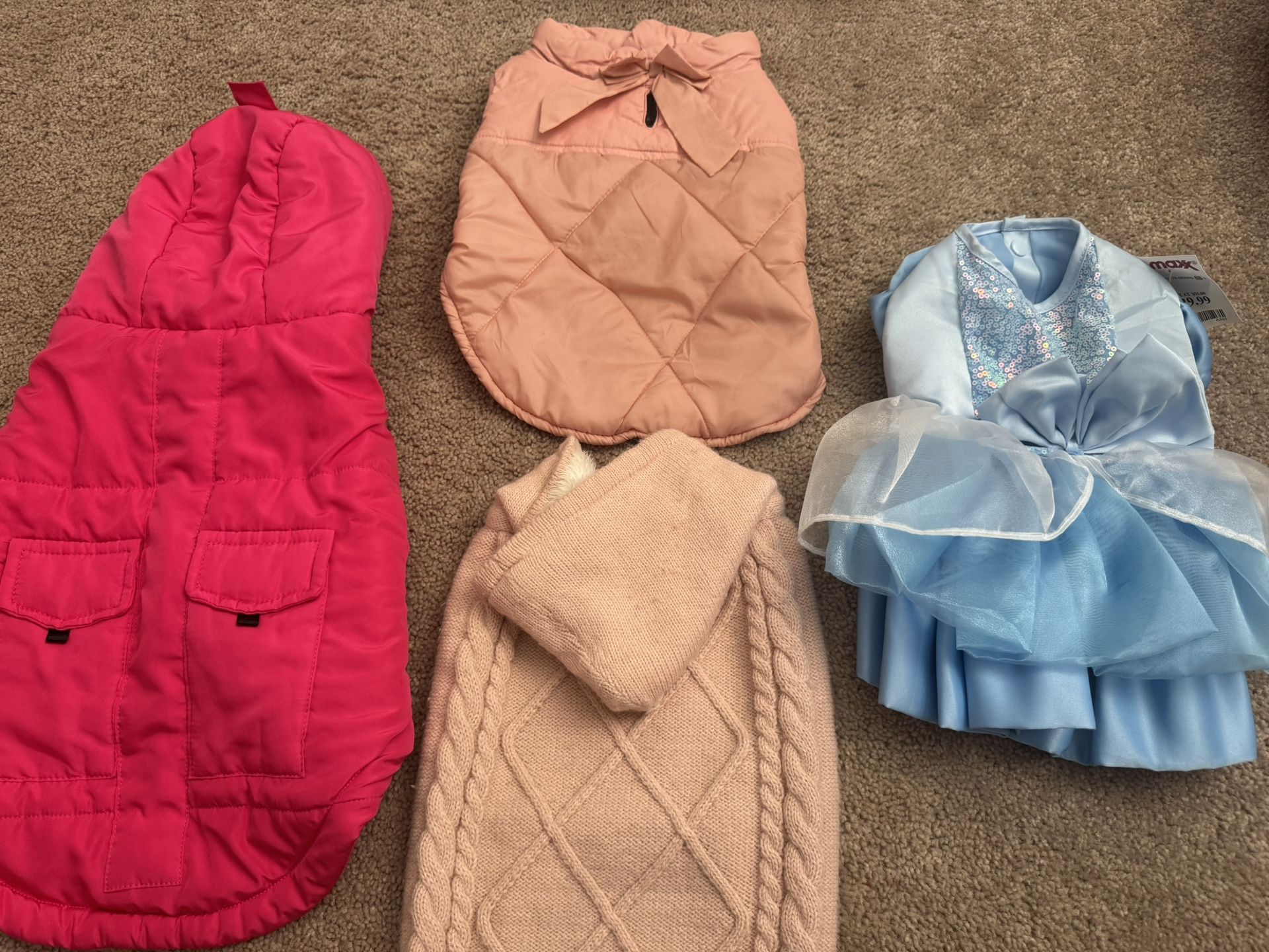 Dog Clothes + Harness