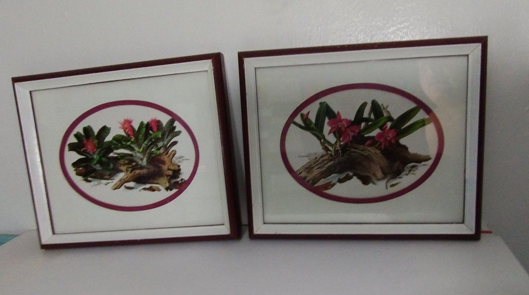 SET OF 2 EDWARD ART PRODUCTS - DRIFTWOOD 11"×9" - S99