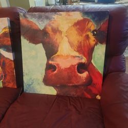 Cow Picture 