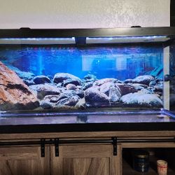 75 Gallon  Fish Tank  And Stand